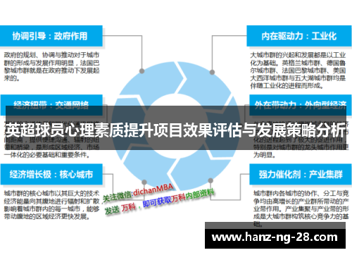 英超球员心理素质提升项目效果评估与发展策略分析