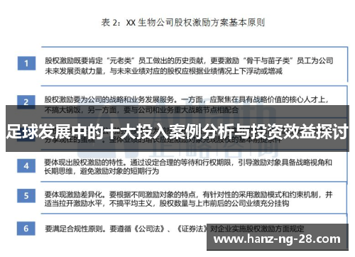 足球发展中的十大投入案例分析与投资效益探讨