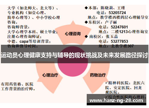 运动员心理健康支持与辅导的现状挑战及未来发展路径探讨