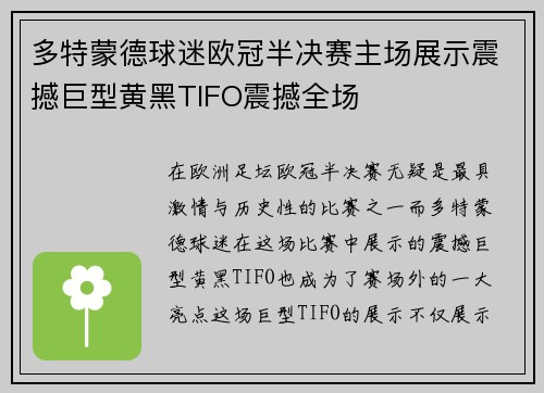 多特蒙德球迷欧冠半决赛主场展示震撼巨型黄黑TIFO震撼全场